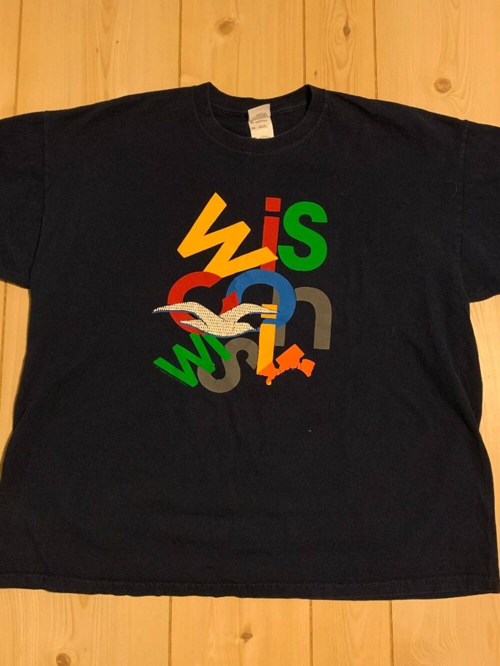 Vintage Y2K Wisconsin WI Midwest Milwaukee Madison Souvenir Tourist T-Shirt 2XL